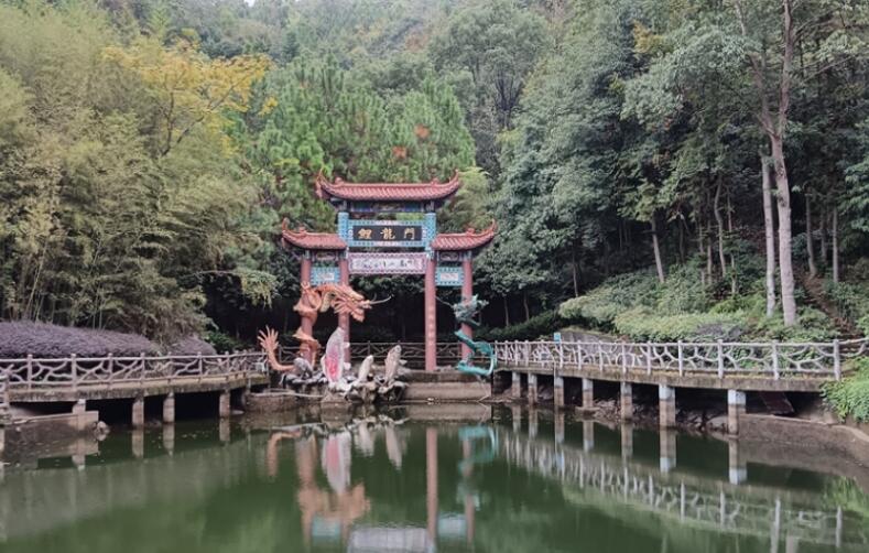 ����������̶